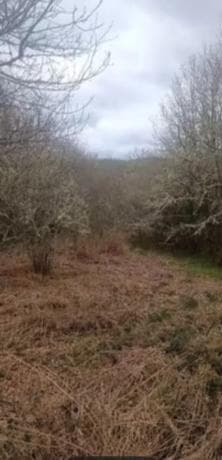 Terreno en calle Nogueira de abaixo s/n thumbnail 2