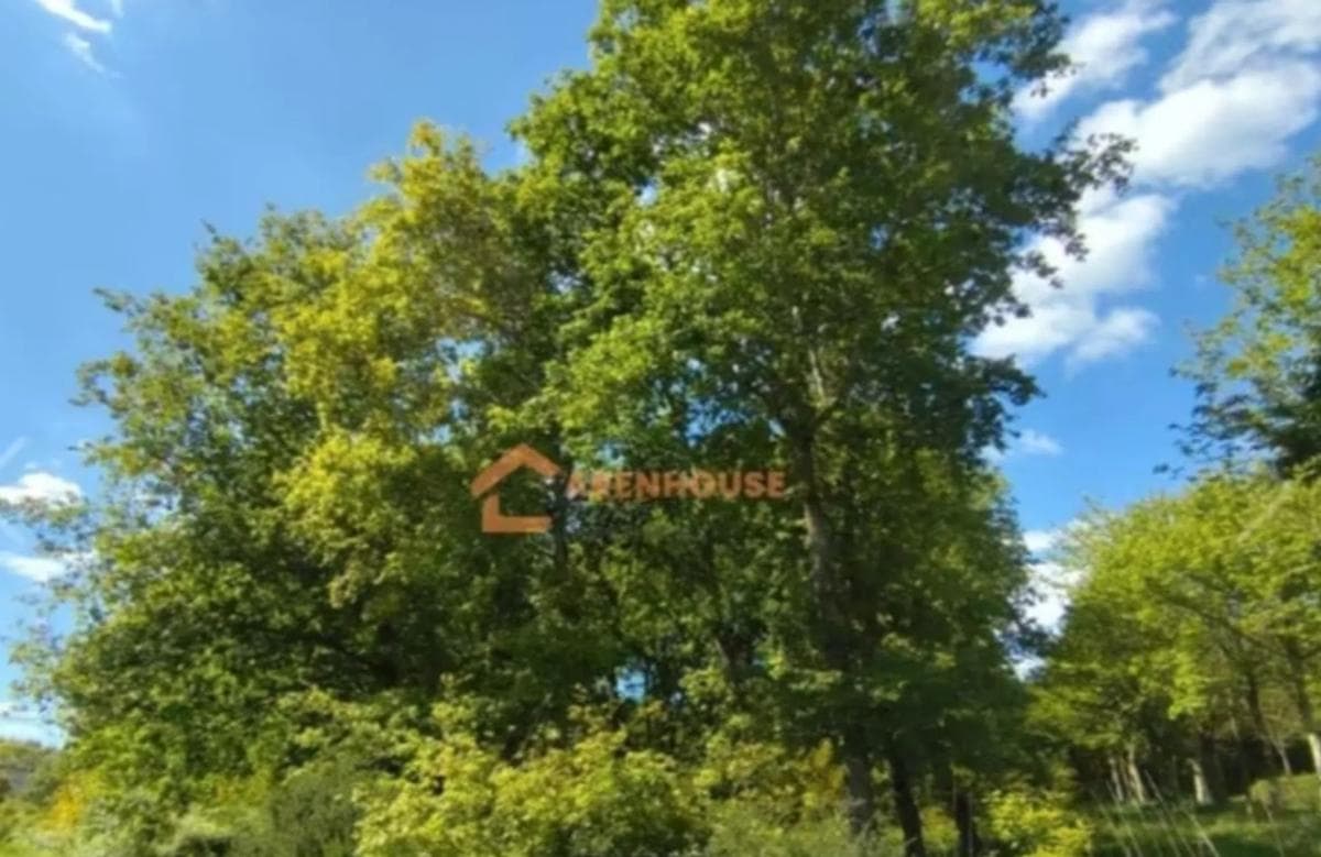 Участок земли на продажу в Ба́ньюс де Мольгас, Оренсе photo 5