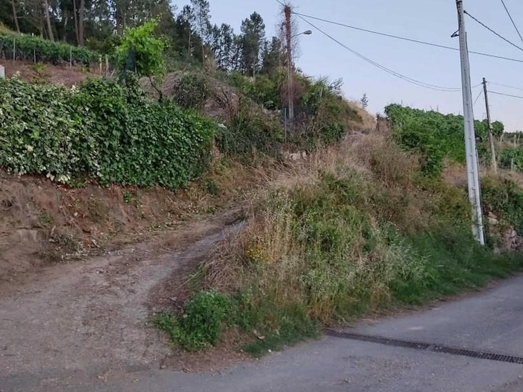 Terreno en venta en Castrelo de Miño, Ourense photo 2