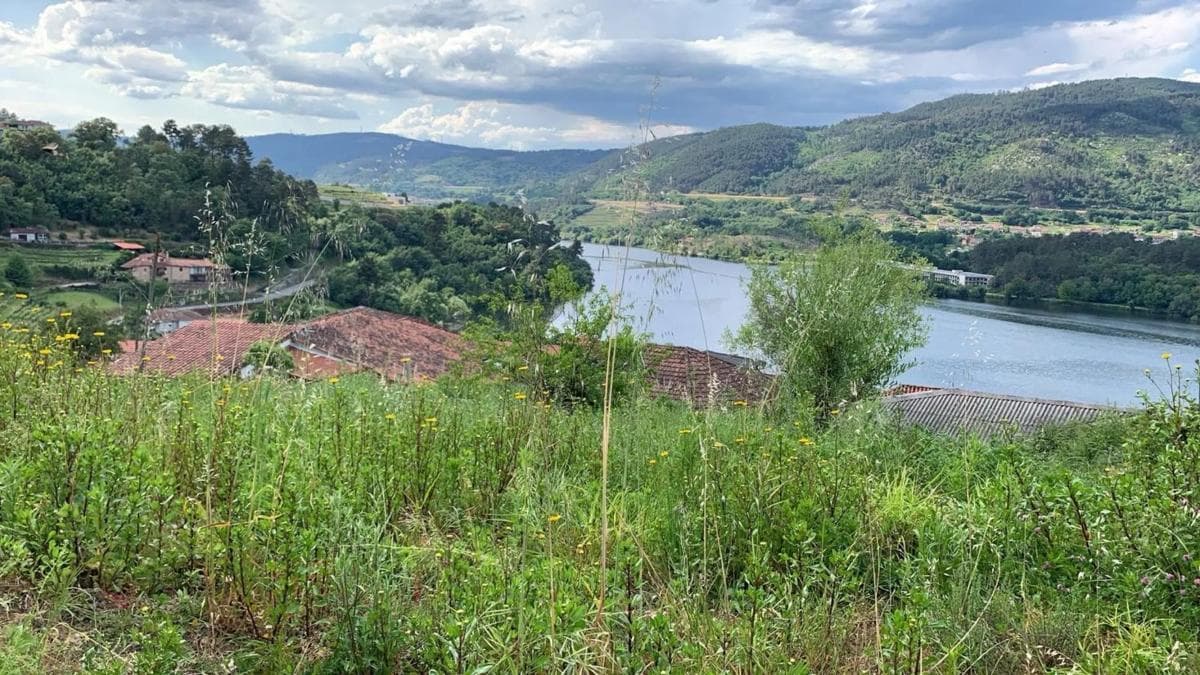 Terreno en venta en Castrelo de Miño, Ourense photo 5