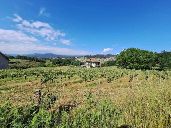 Terreno en carretera de Esposende thumbnail 1
