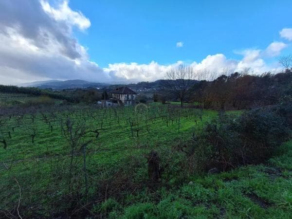Terreno en carretera de Esposende thumbnail 2