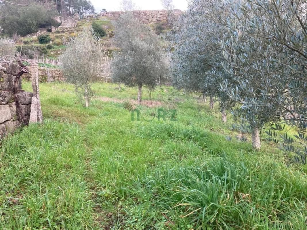Terreno en venta en Cenlle, Ourense photo 3
