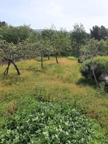Terreno en calle Hermide photo 1