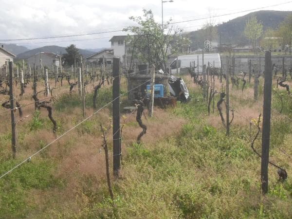 Terreno en camino do Val, 3 photo 2