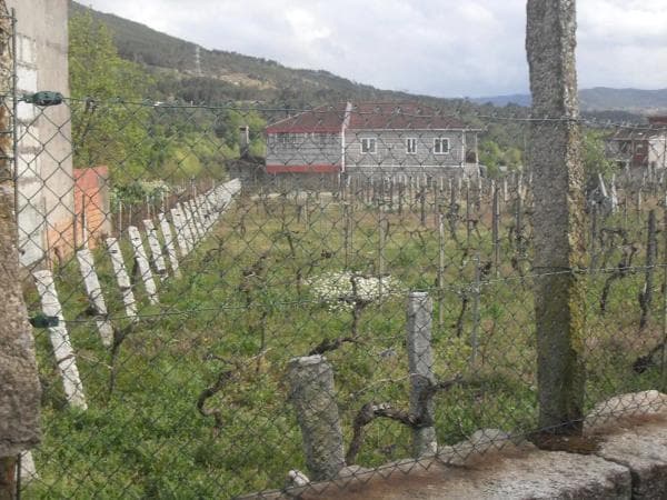 Terreno en camino do Val, 3 photo 3
