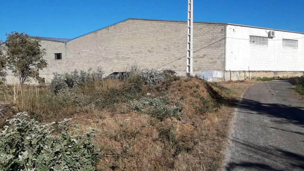 Property photo 5
