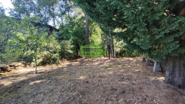 Terreno en Pereiro de Aguiar thumbnail 1