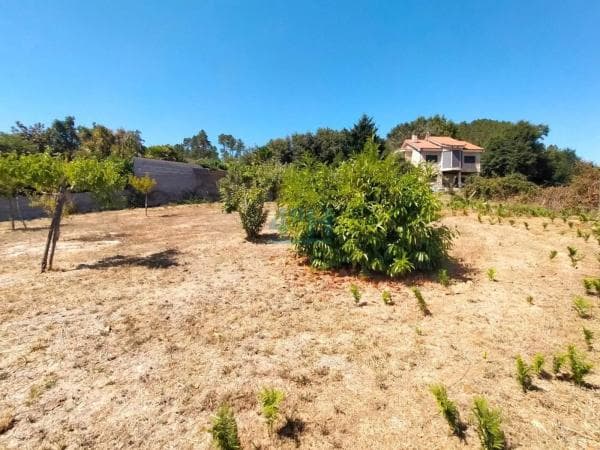 Terreno en Coles photo 1