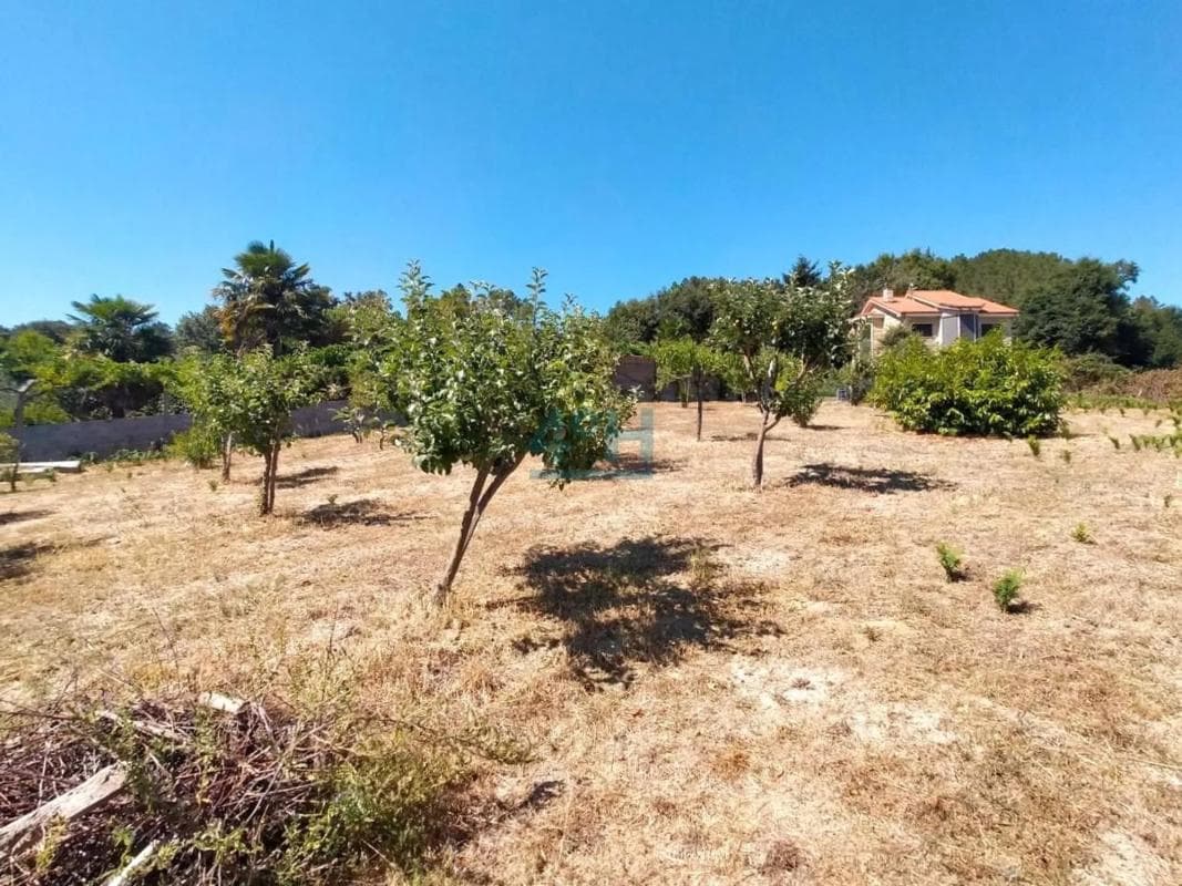 Terreno en venta en Coles, Ourense photo 4