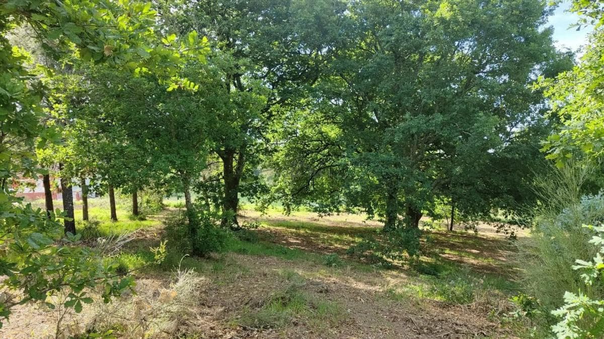 Terreno en venta en Vilamarin, Ourense photo 2