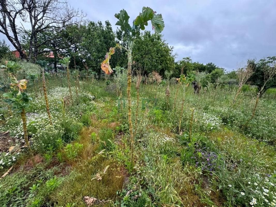 Terreno en venta en Vilamarin, Ourense photo 2