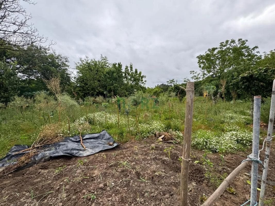 Terreno en venta en Vilamarin, Ourense photo 5