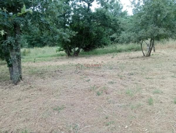 Terreno en San Cibrao das Viñas photo 1
