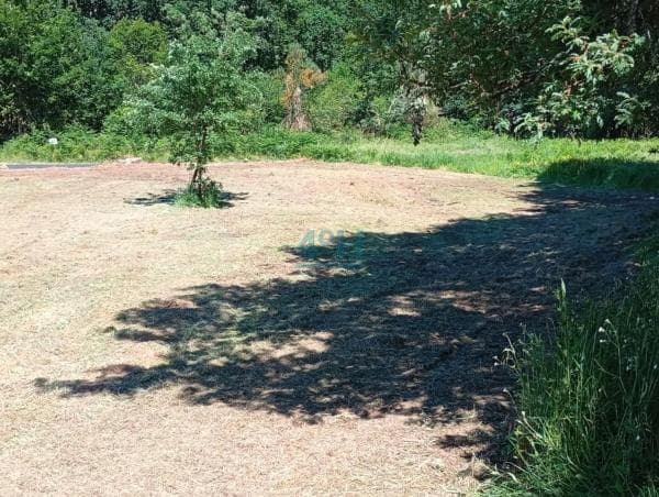 Terreno en Pereiro de Aguiar thumbnail 2