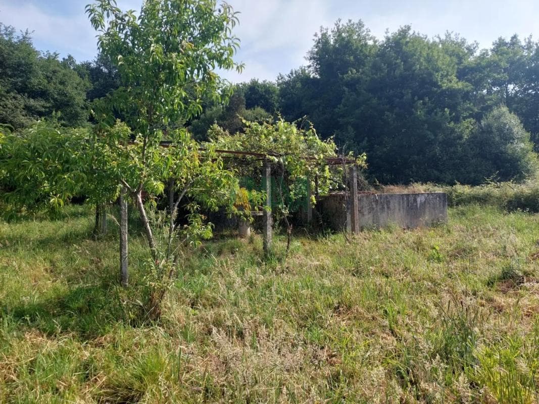 Terreno en venta en Coles, Ourense photo 4