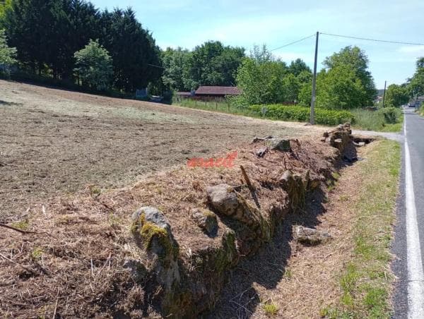 Terreno en Pereiro de Aguiar thumbnail 2