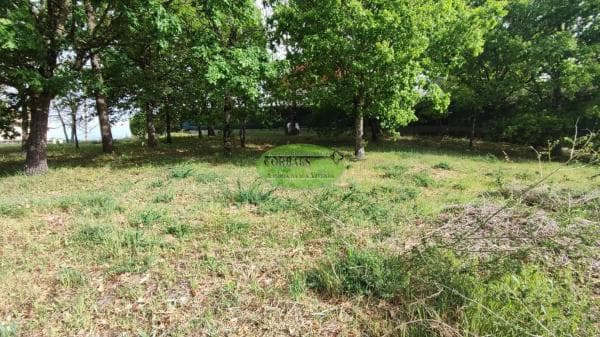 Terreno en Pereiro de Aguiar thumbnail 1