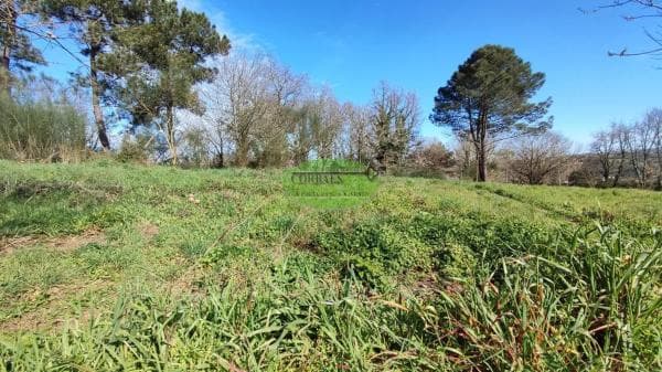 Terreno en Barbadas photo 1