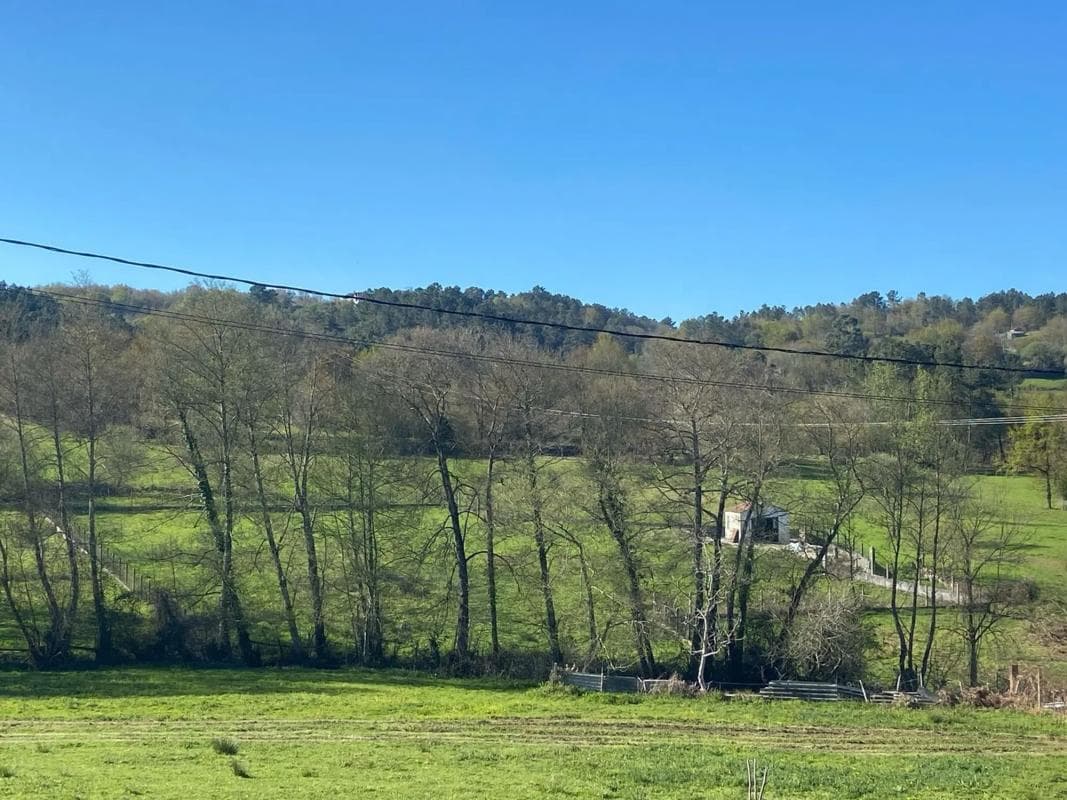 Terreno en venta en Coles, Ourense photo 3