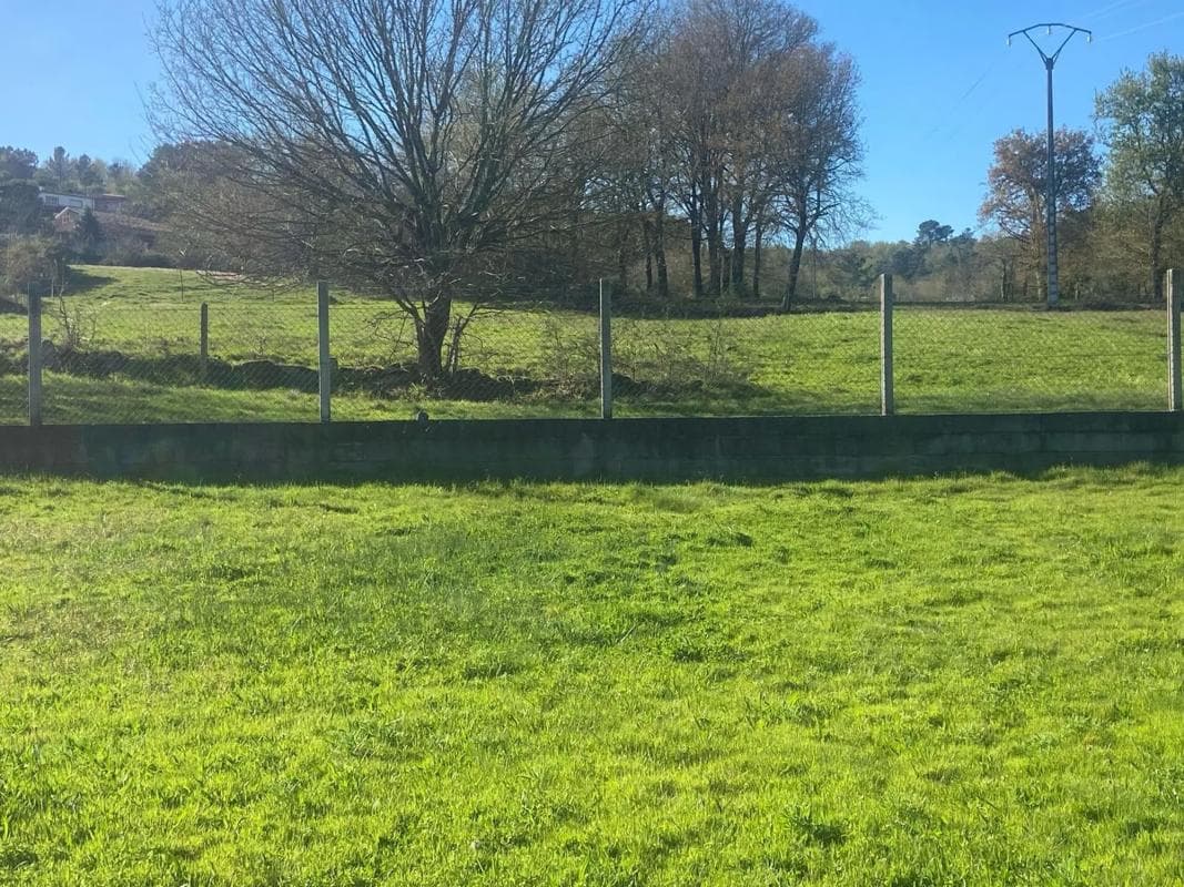 Terreno en venta en Coles, Ourense photo 5
