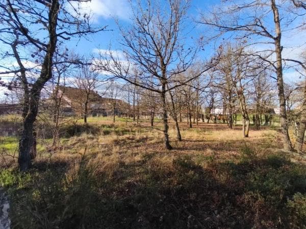 Terreno en Pereiro de Aguiar photo 1