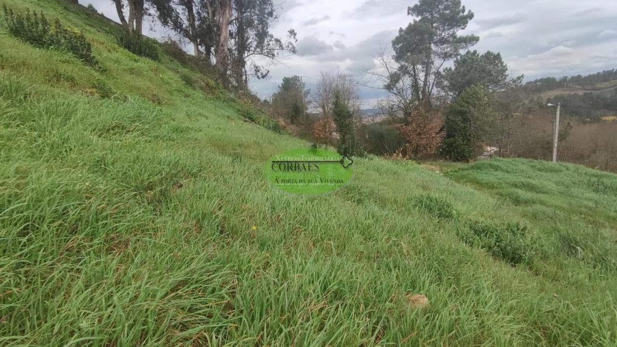 Terreno en venta en Barbadas, Ourense photo 5