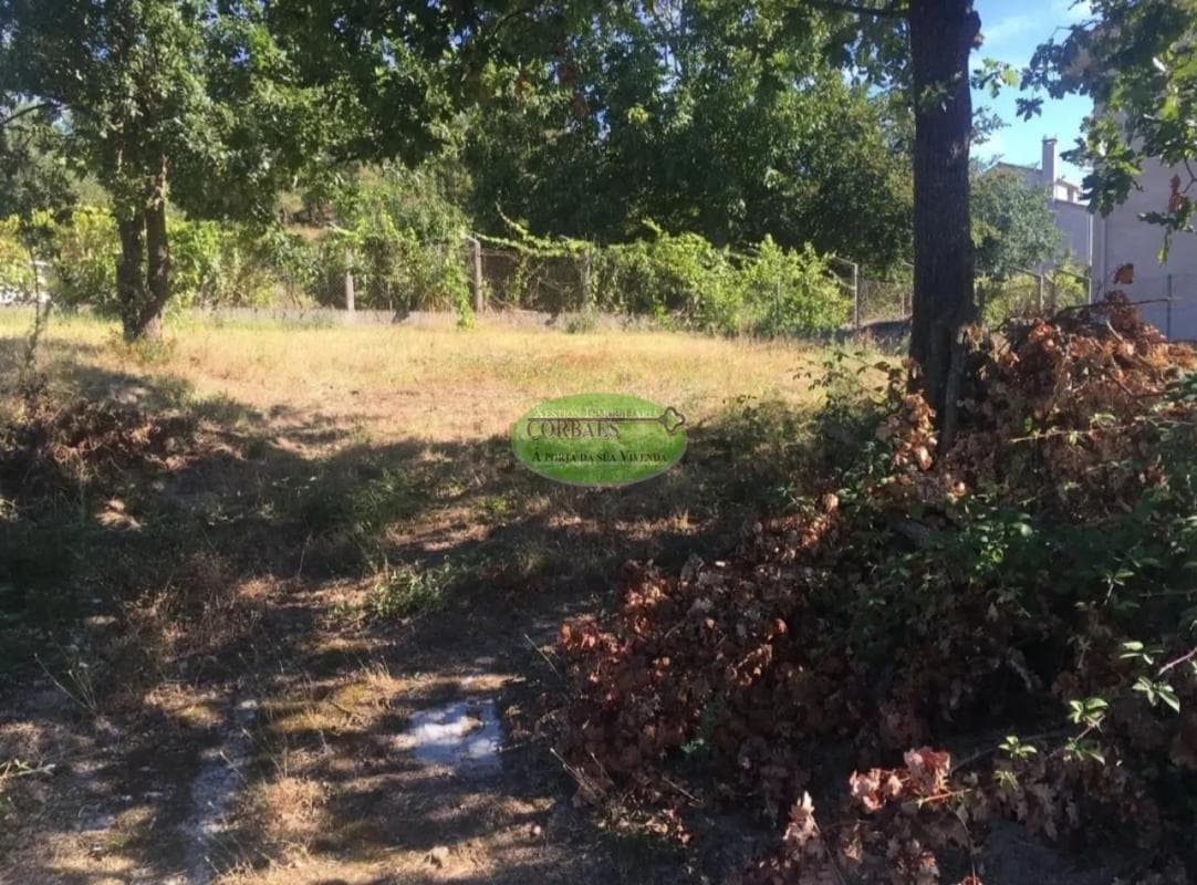 Terreno en venta en San Cibrao das Viñas, Ourense photo 5