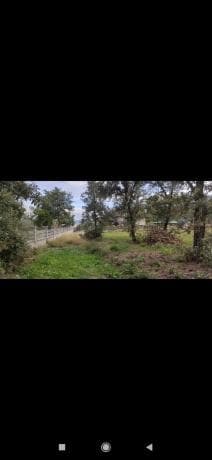 Terreno en Caserio Castellana, 14 photo 1