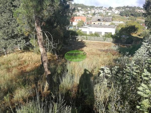 Terreno en Barbadas photo 1