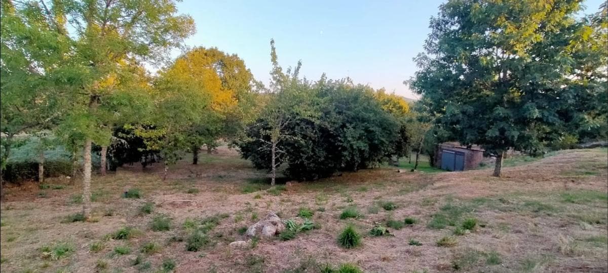 Terreno en venta en Pereiro de Aguiar, Ourense photo 3