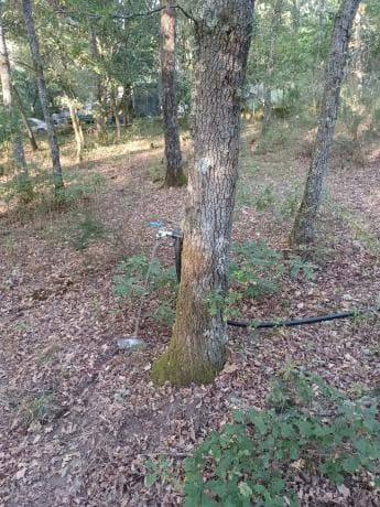 Terreno en Lugar de Pereiro de Aguiar s/n photo 1