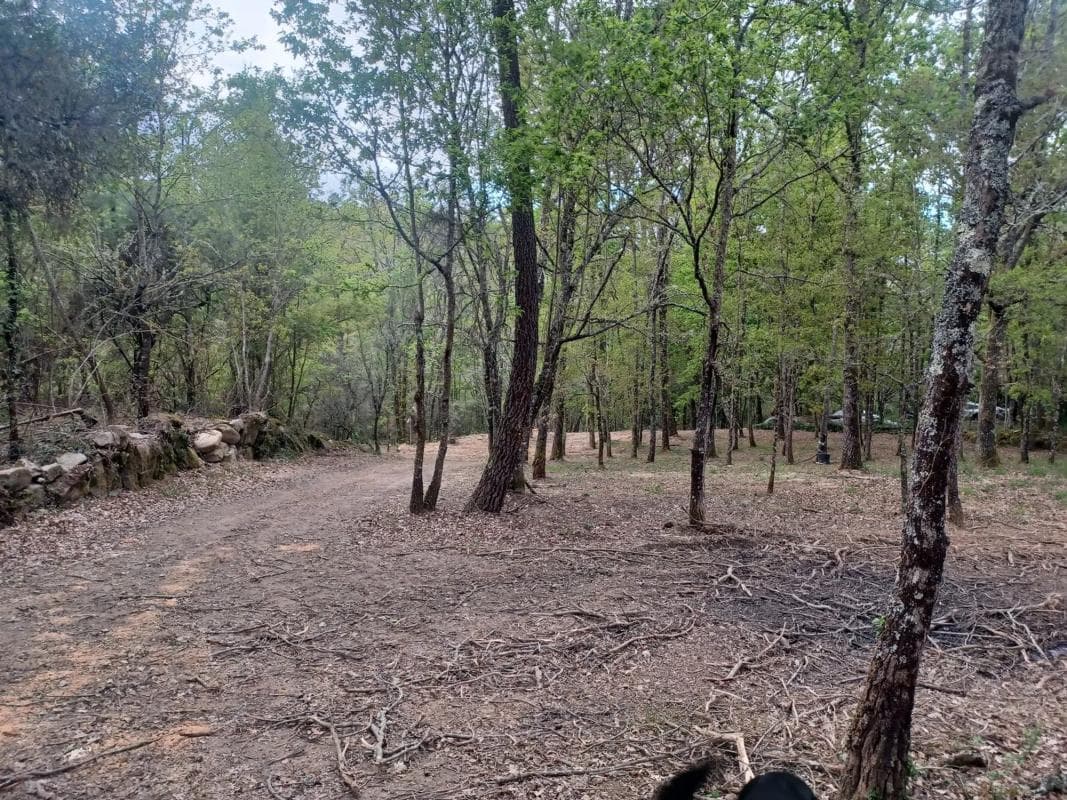 Terreno en venta en Pereiro de Aguiar, Ourense photo 4