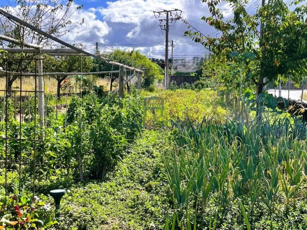 Terreno en venta en Pereiro de Aguiar, Ourense photo 5
