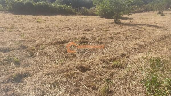 Terreno en San Cibrao das Viñas thumbnail 2
