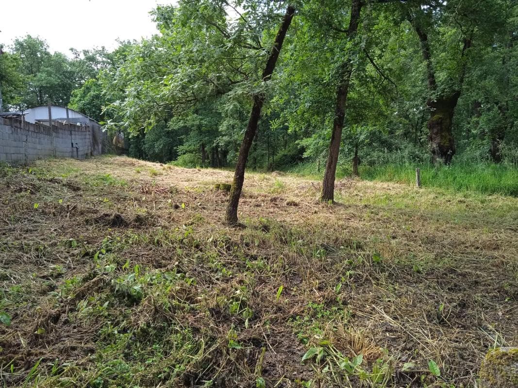 Terreno en venta en San Cibrao das Viñas, Ourense photo 3
