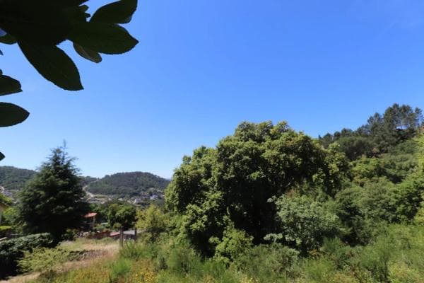 Terreno en Pereiro de Aguiar photo 1