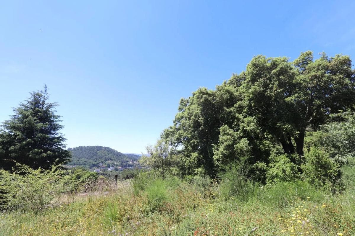Terreno en venta en Pereiro de Aguiar, Ourense photo 2