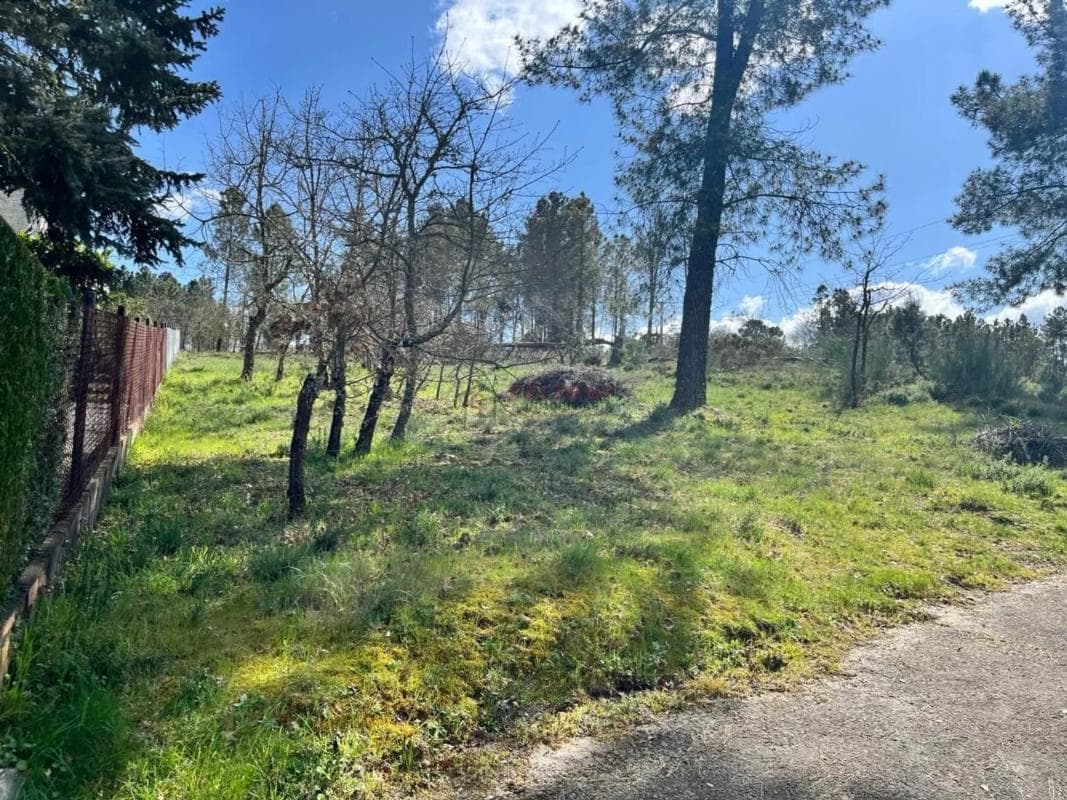 Terreno en venta en San Cibrao das Viñas, Ourense photo 3