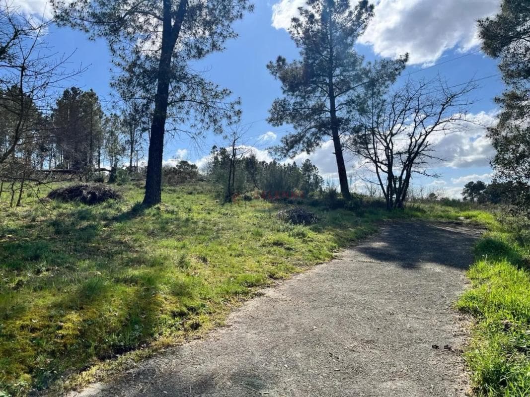 Terreno en venta en San Cibrao das Viñas, Ourense photo 4