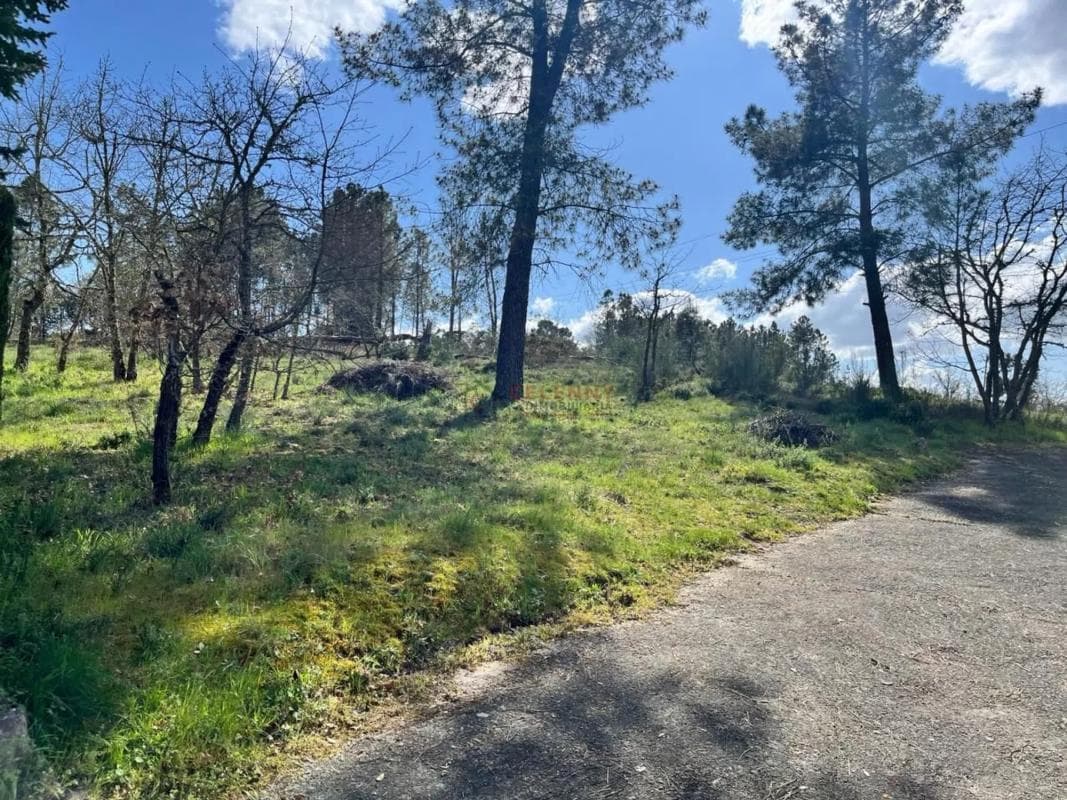 Terreno en venta en San Cibrao das Viñas, Ourense photo 5