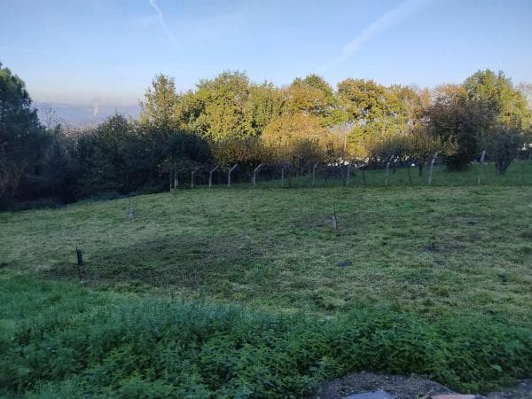 Terreno en Caseriu Soutomaior, 29 thumbnail 2