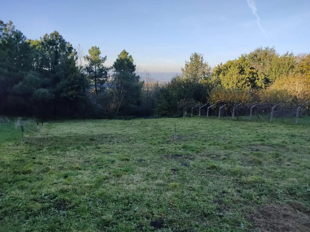Terreno en venta en Taboadela, Ourense photo 4