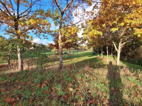 Terreno en Pereiro de Aguiar thumbnail 1