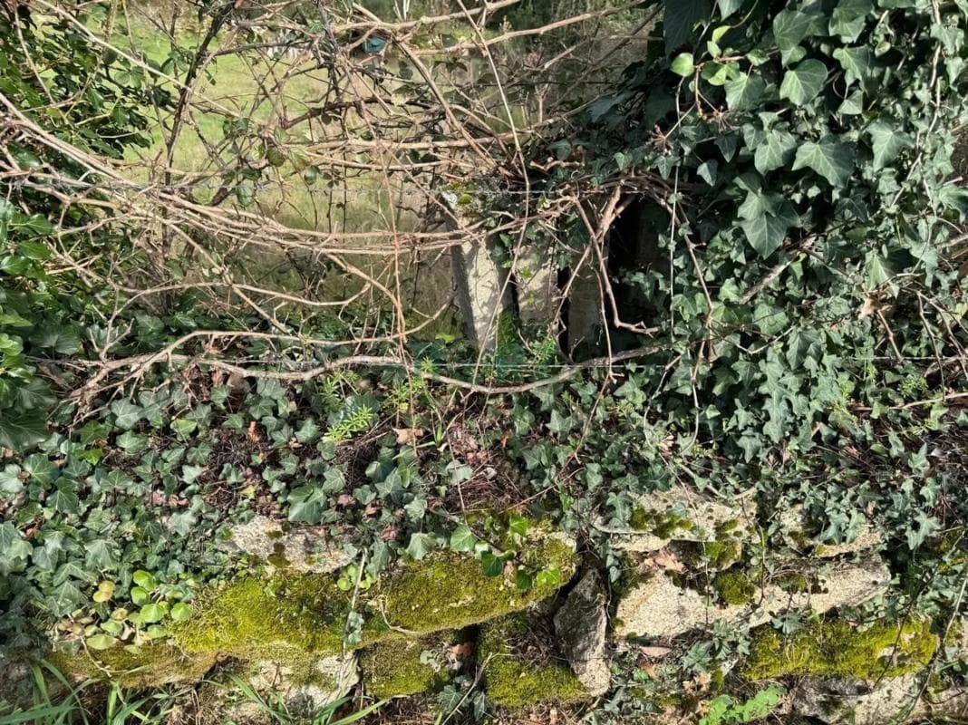 Terreno en venta en San Cibrao das Viñas, Ourense photo 3