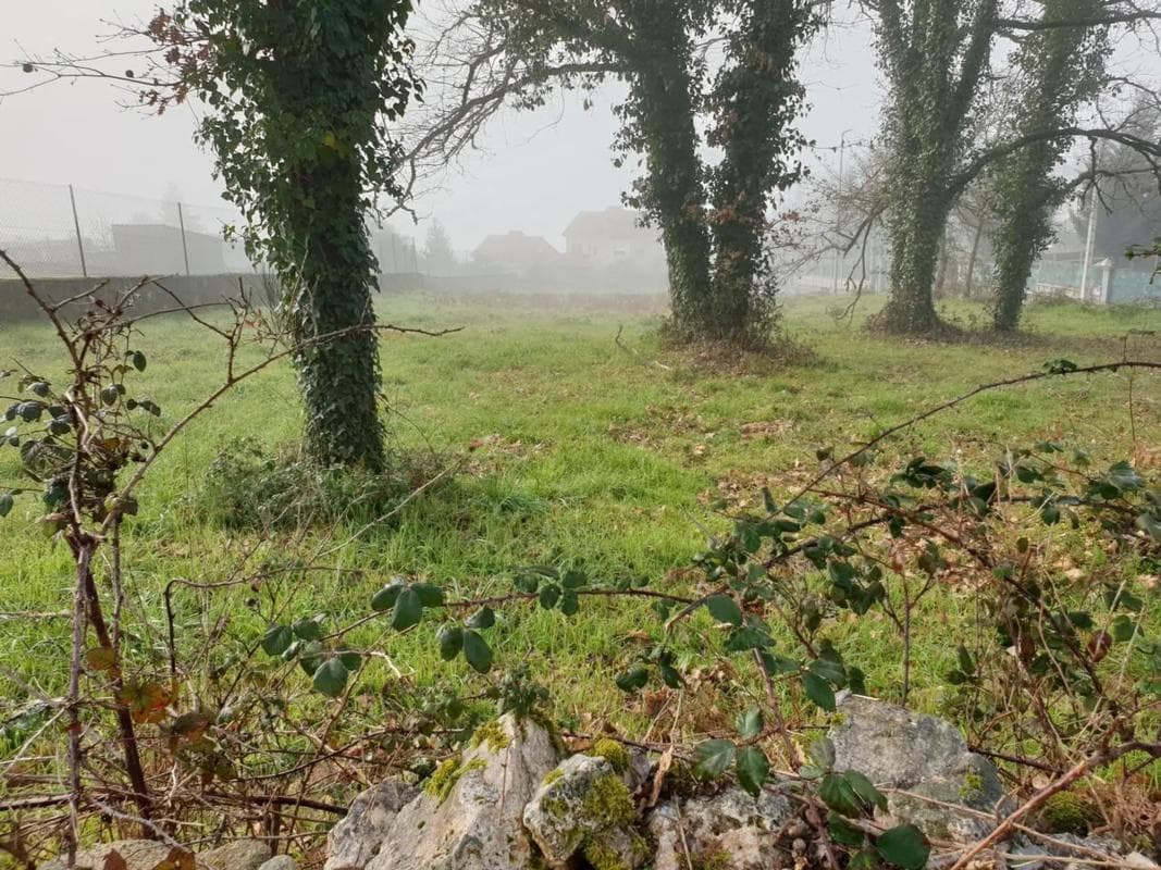 Terreno en venta en Pereiro de Aguiar, Ourense photo 4