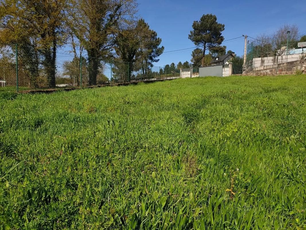Terreno en venta en Pereiro de Aguiar, Ourense photo 5
