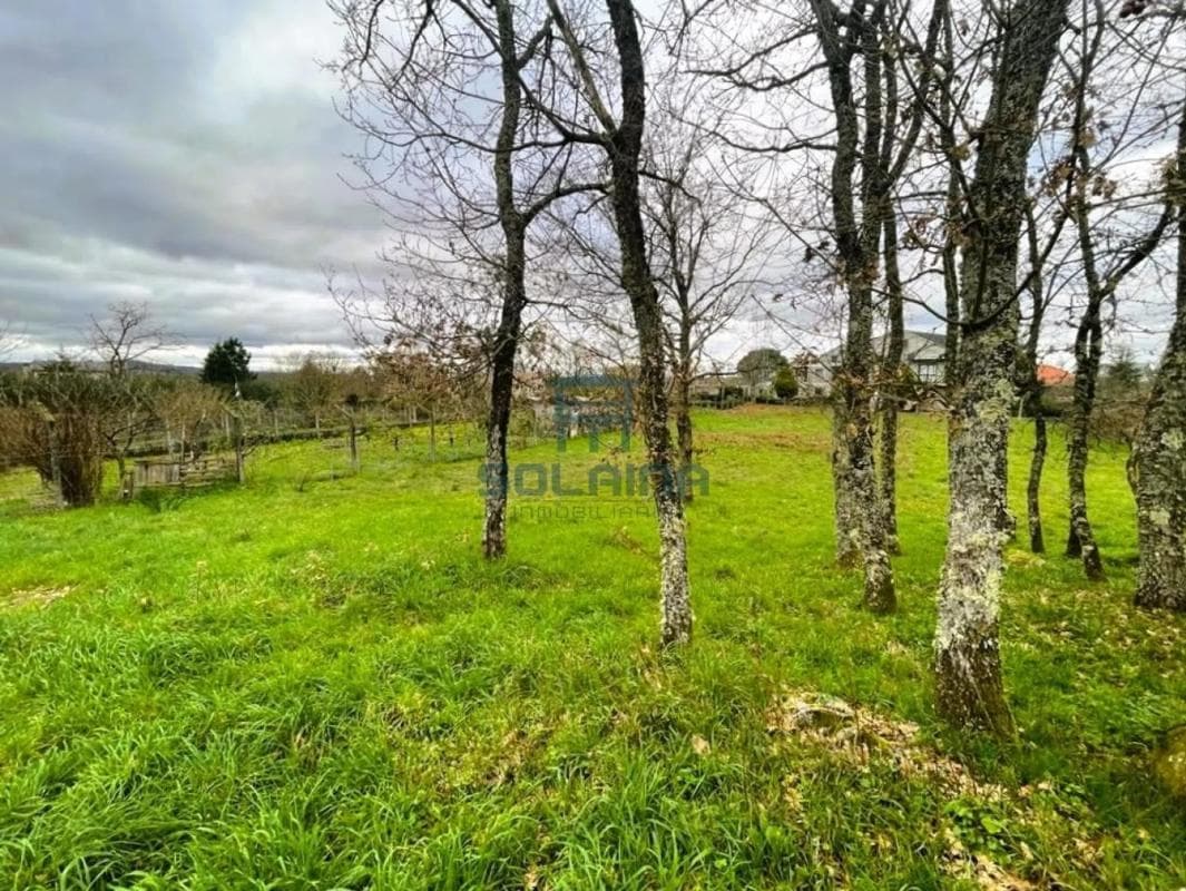 Terreno en venta en San Cibrao das Viñas, Ourense photo 4