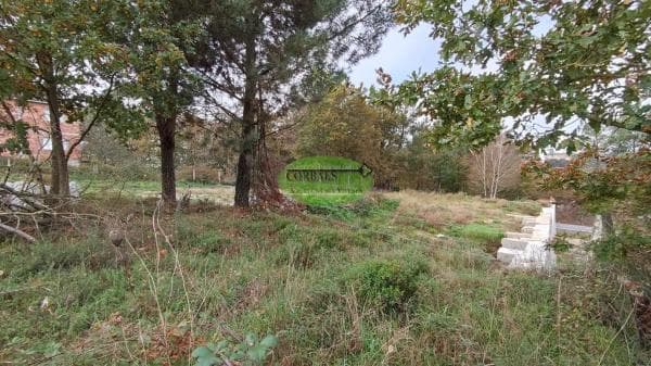 Terreno en Taboadela photo 1