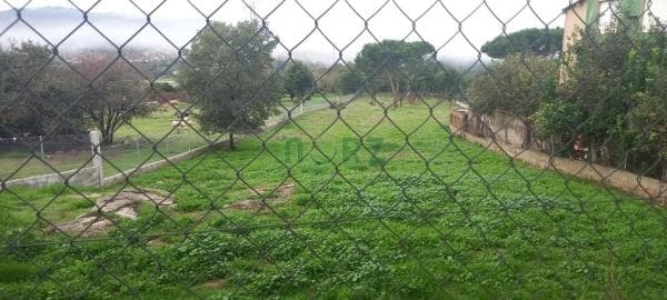 Terreno en San Cibrao das Viñas photo 1